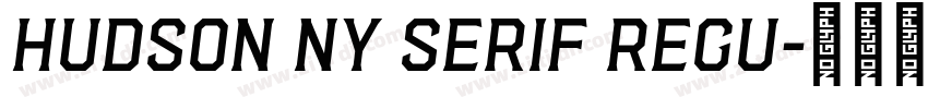 Hudson NY Serif Regu字体转换